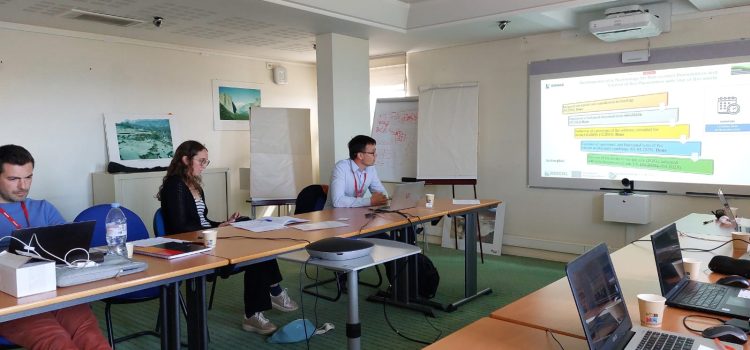 REECOL Progress meeting hosted by BRGM – 1st day