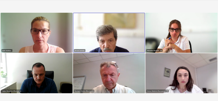 REECOL partners from Greece met online to work on WP6 REECOL partners from Greece met online to work on WP6