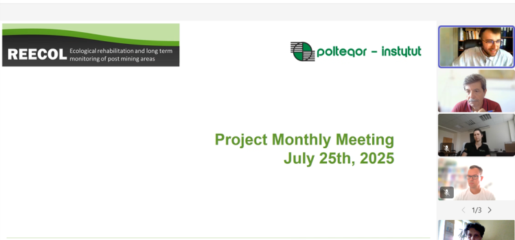 REECOL periodic online meeting – JULY 2025