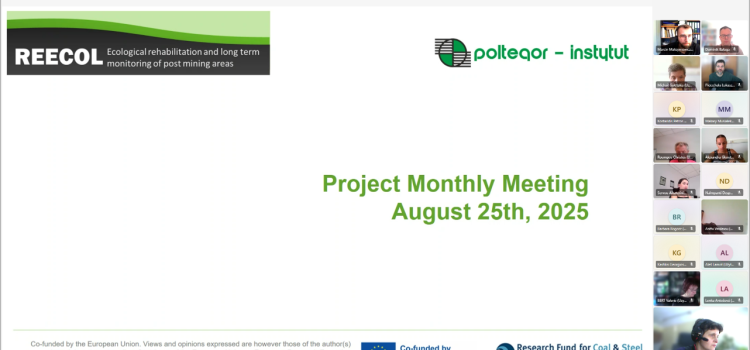 REECOL periodic online meeting – AUG 2025